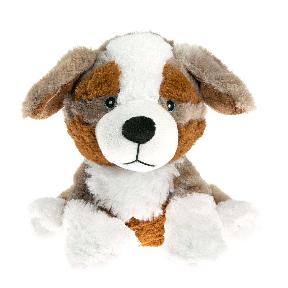 Berger australien peluche bouillotte