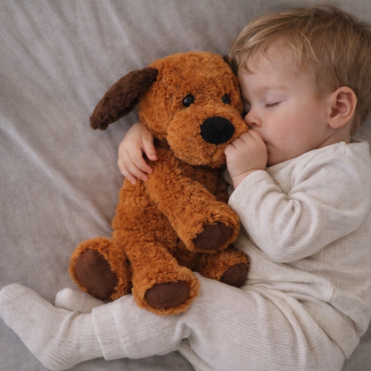 Chien marron peluche bouillotte